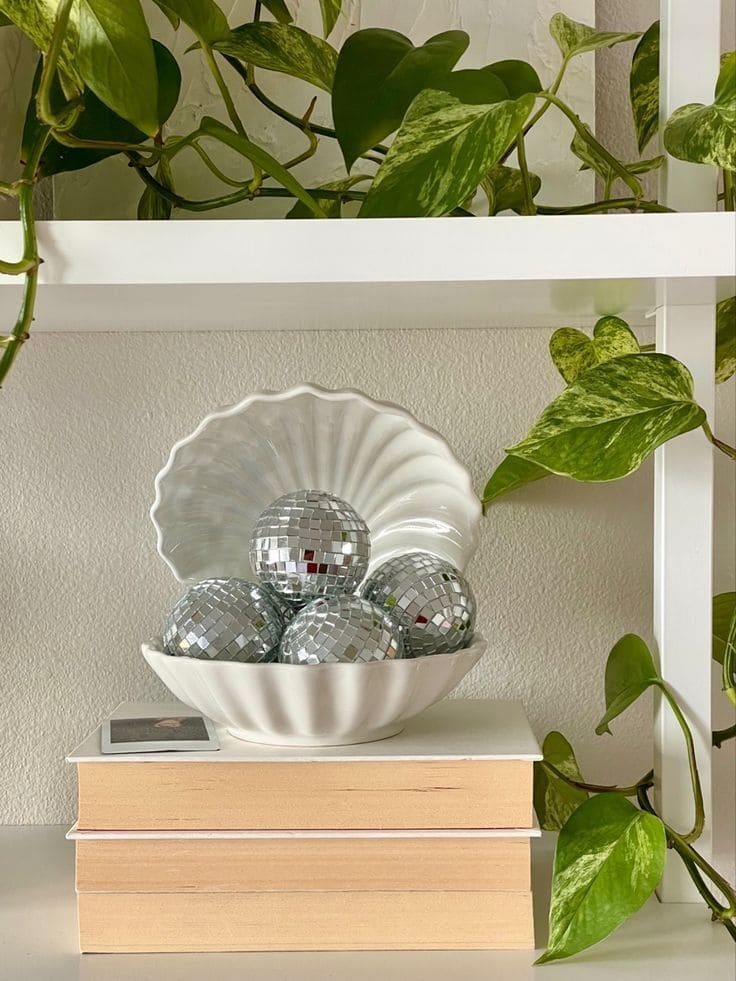 Pearls of Disco Shell Display