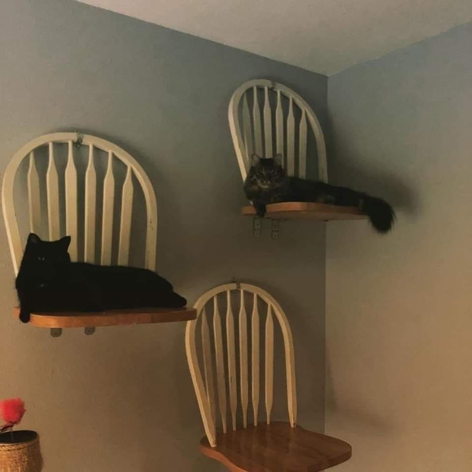 Repurposed Chair Back Perches
