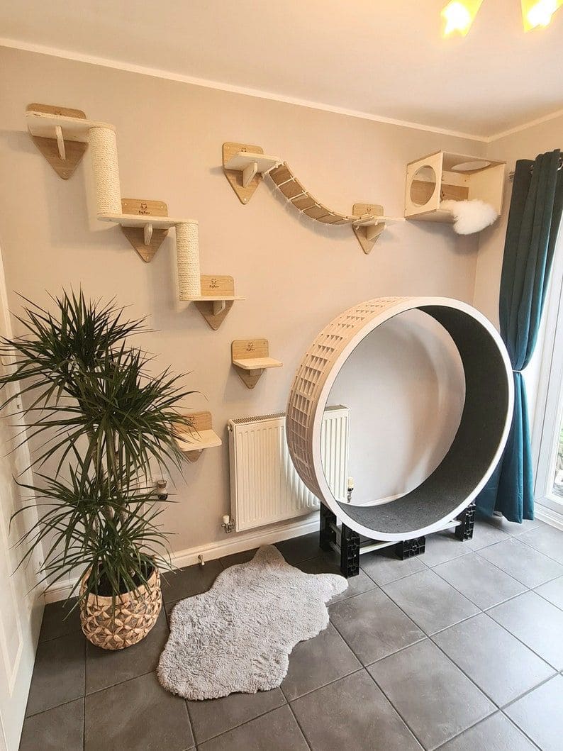 Wall Adventure Cat Gym with Running Wheel