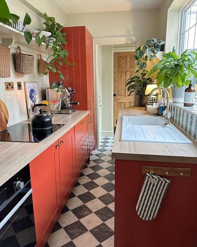 Bold Terracotta Galley Kitchen