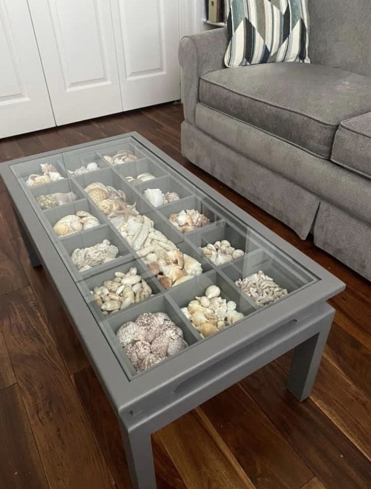 Coastal Memory Shell Display Table