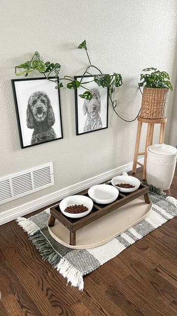 Elegant Pup Dining Nook