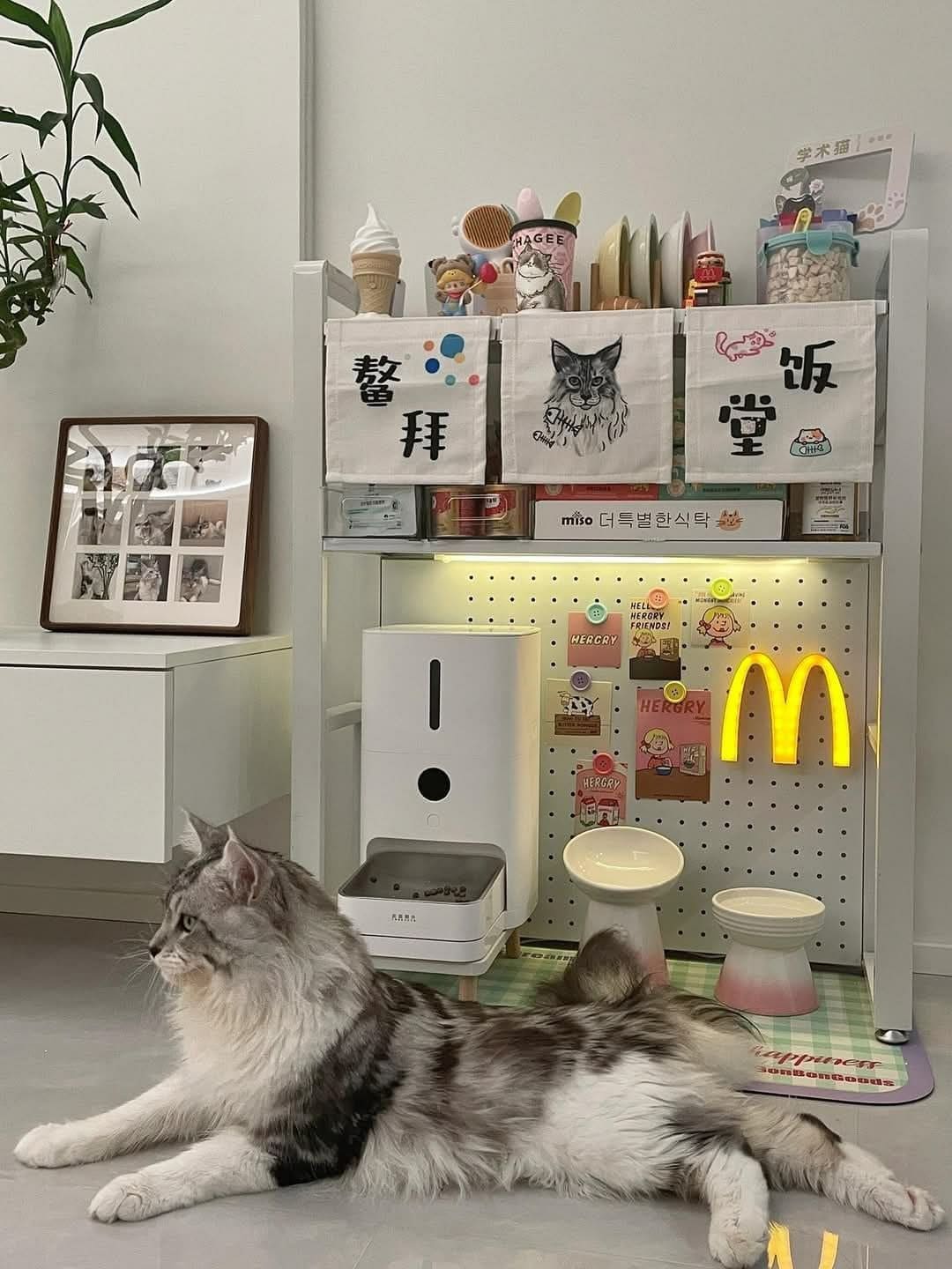Modern Cat Cafe Corner Display