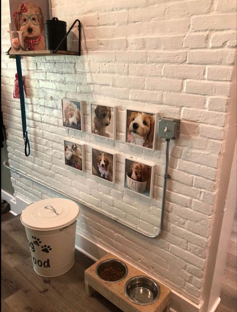 Pawtrait Wall Feeding Station