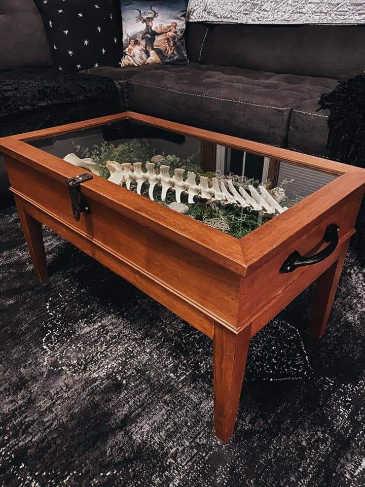 Rustic Curiosity Display Coffee Table
