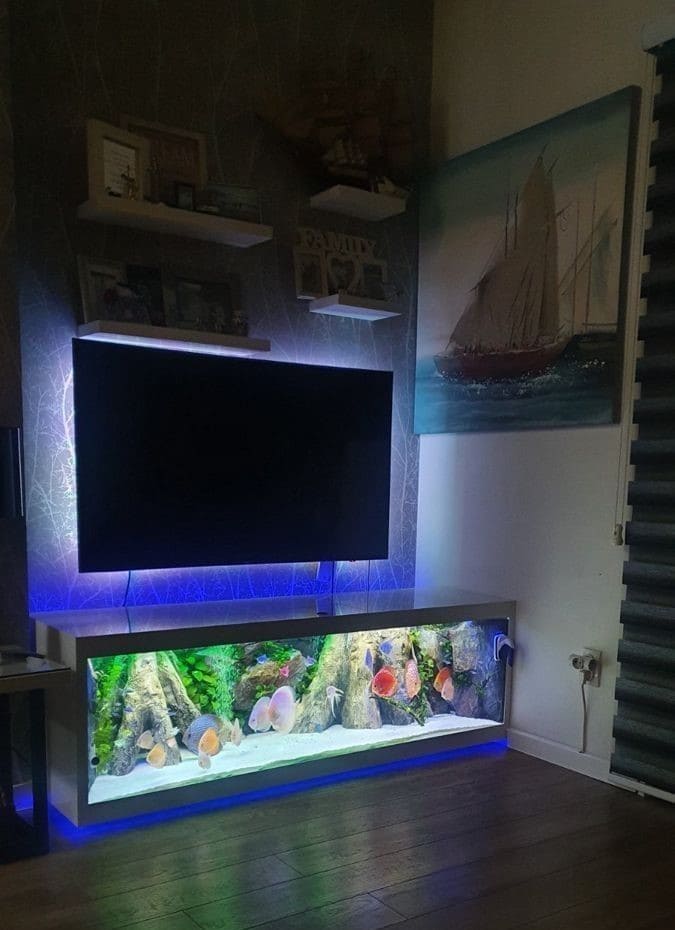Aquarium TV Stand