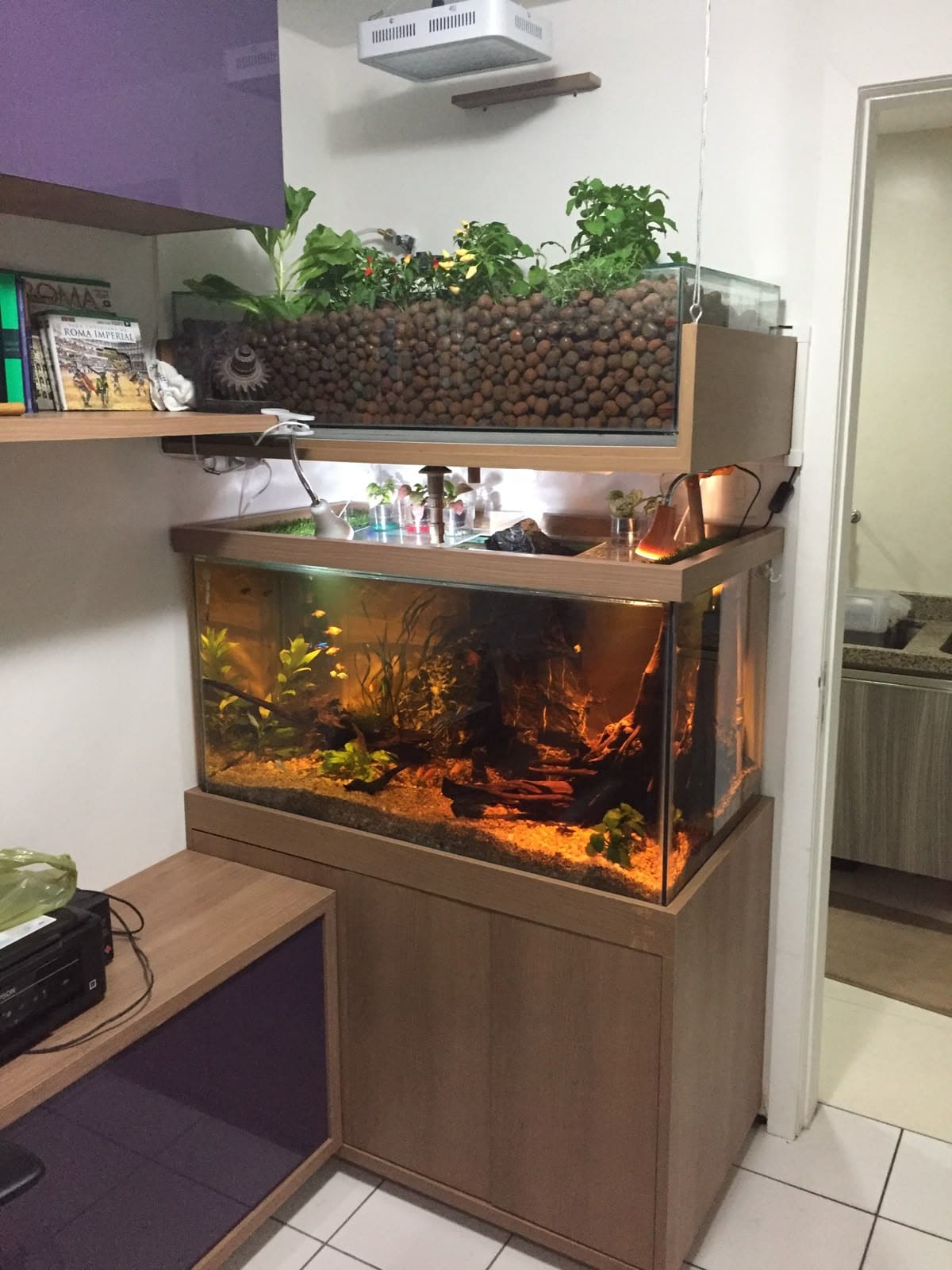 Aquarium with Integrated Herb Garden