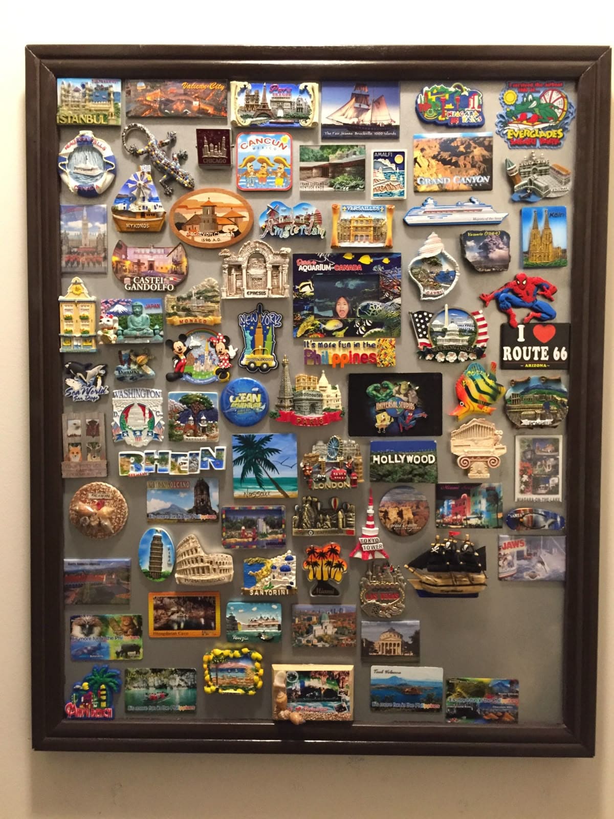 Framed Global Magnet Showcase
