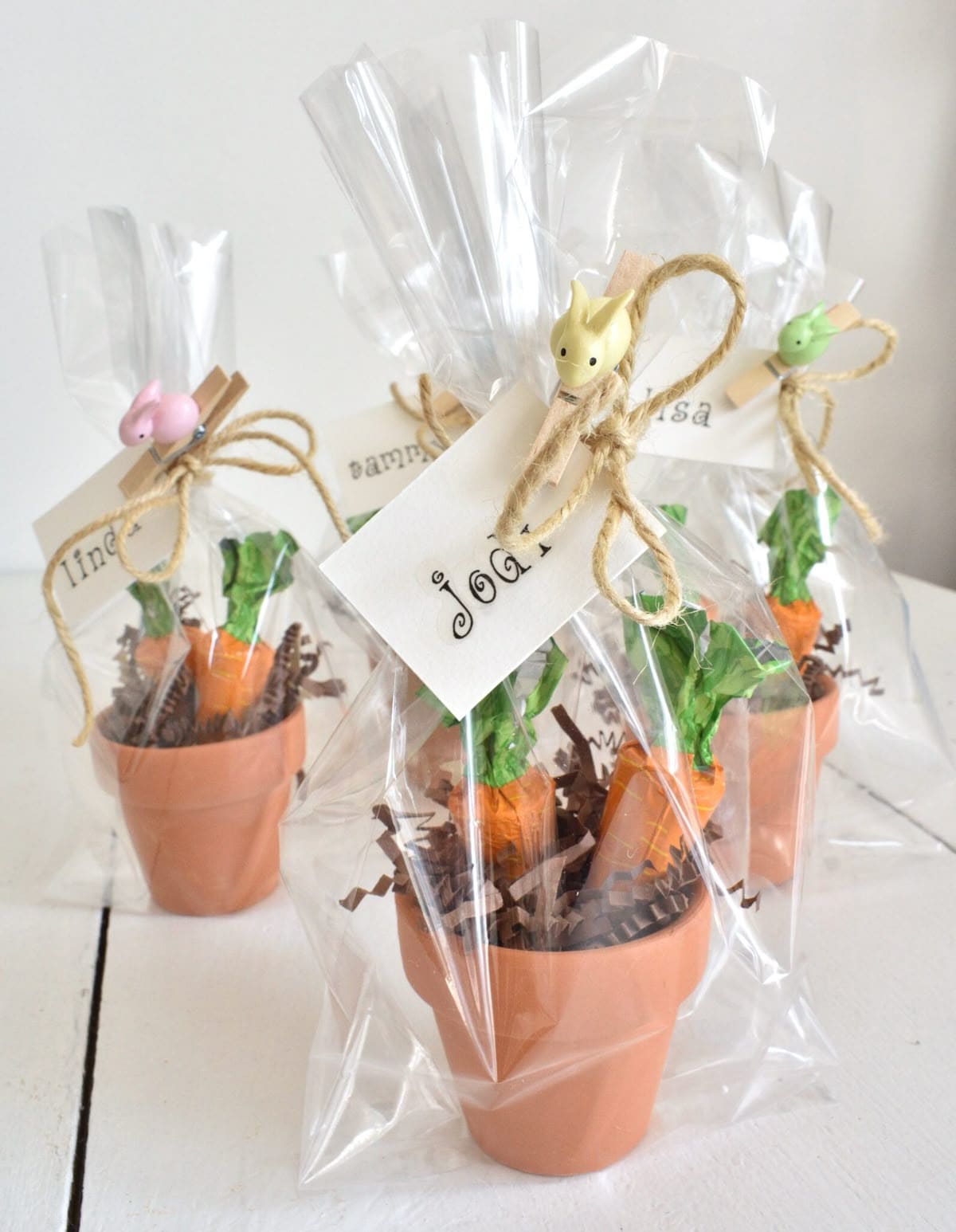 Mini Carrot Pot Treat Favors