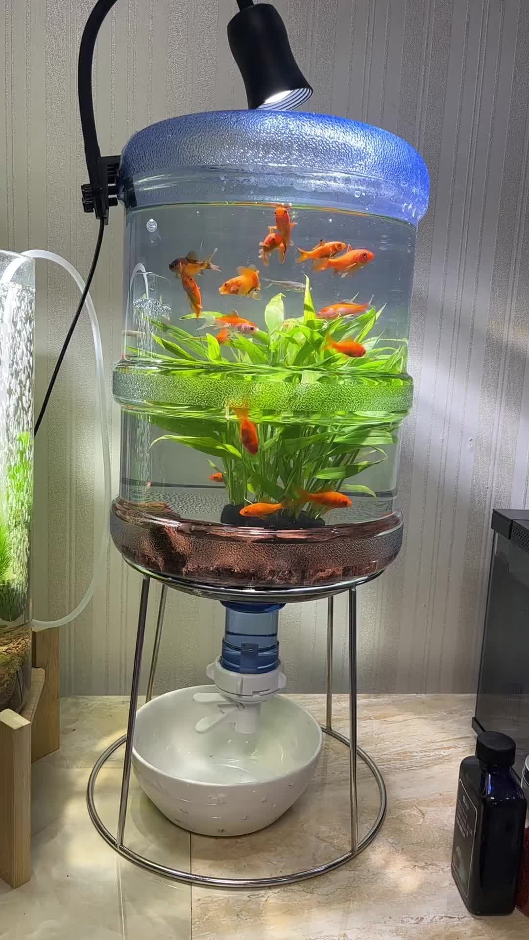 Water Dispenser Aquarium