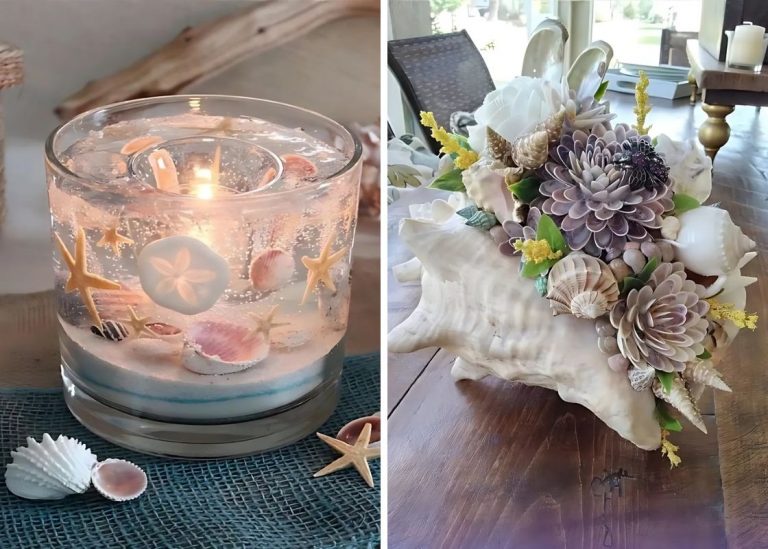 22 Creative DIY Seashell Decor Ideas to Transform Your Home