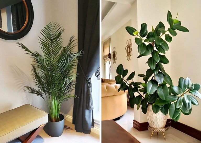 20+ Gorgeous Big Houseplants Every Living Room Needs