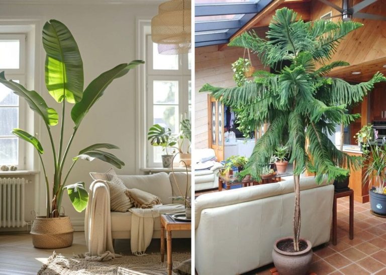 20 Fast Growing Houseplants That Liven up Your Indoor Space