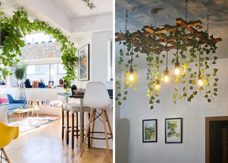 29 Unique Plant Display Ideas to Enhance Your Indoor Aesthetic