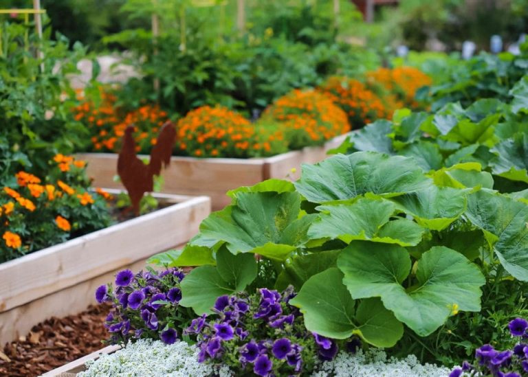 How to Encourage Faster Growth in Your Garden Naturally