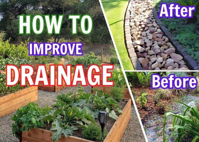 How to Improve Drainage in Your Garden With The Lowest Cost