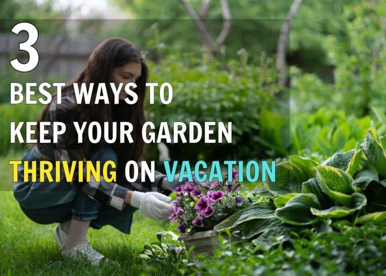 Don’t Worry, Here’s The Best Way to Keep Your Garden Thriving When You’re on Vacation