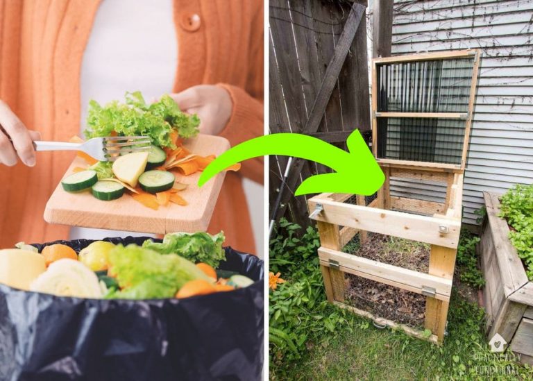 The Science of Composting: Turning Kitchen Scraps into Garden Gold