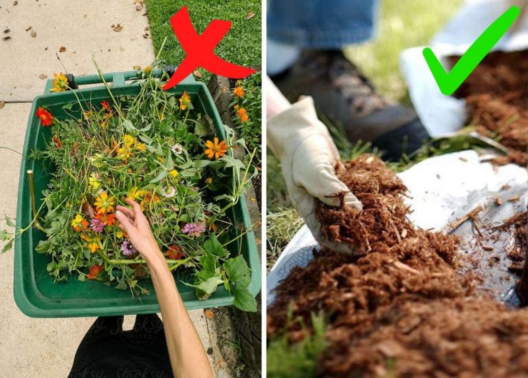 7 Best Ways to Reuse Garden Waste for a More Sustainable Garden