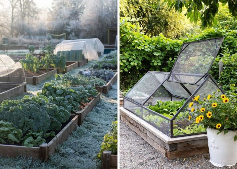 Winter Gardening: How to Protect Your Plants from Frost and Cold