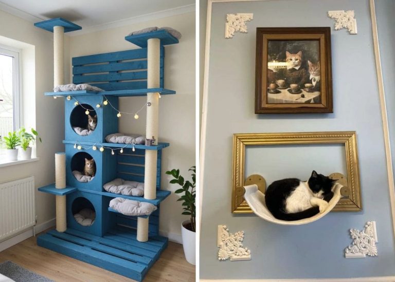 20 Brilliant Indoor Cat Enclosure Ideas for Active Pets