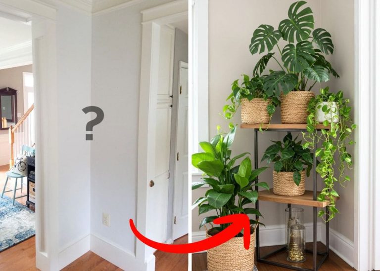 20 Stylish Ways to Bring Life to Your Little Corners