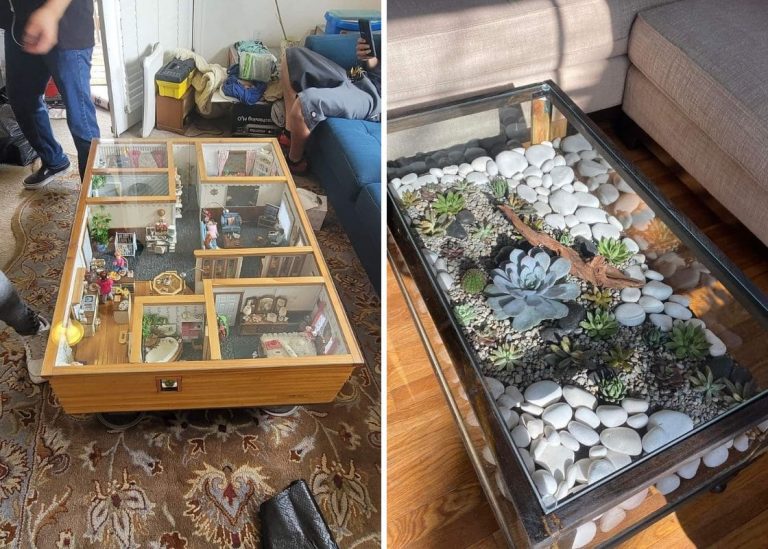 20 Creative Coffee Table Display Ideas That Steal the Show