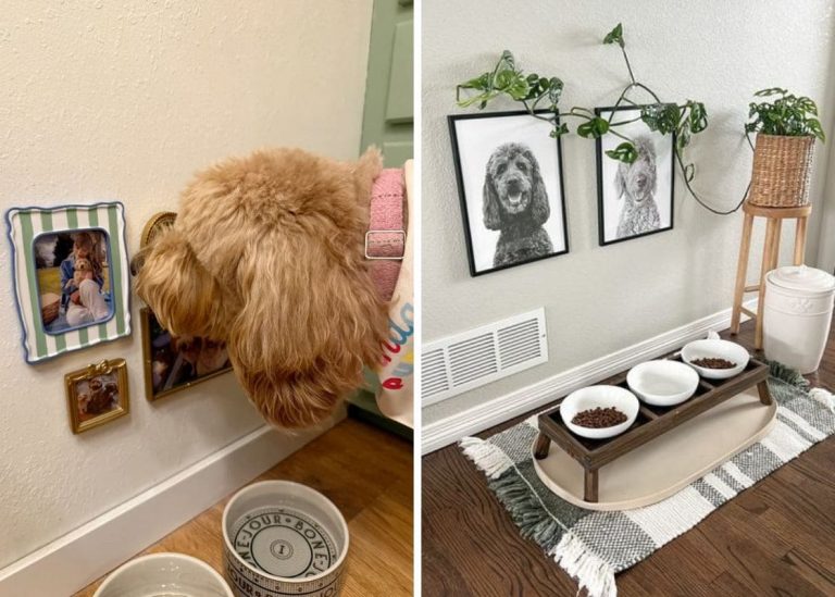 20 Dog Gallery Wall Ideas to Turn Your Pet’s Photos into Art