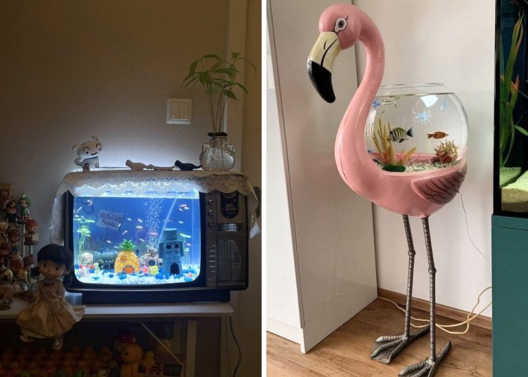 20 Stunning Aquarium Ideas to Elevate Your Indoor Space